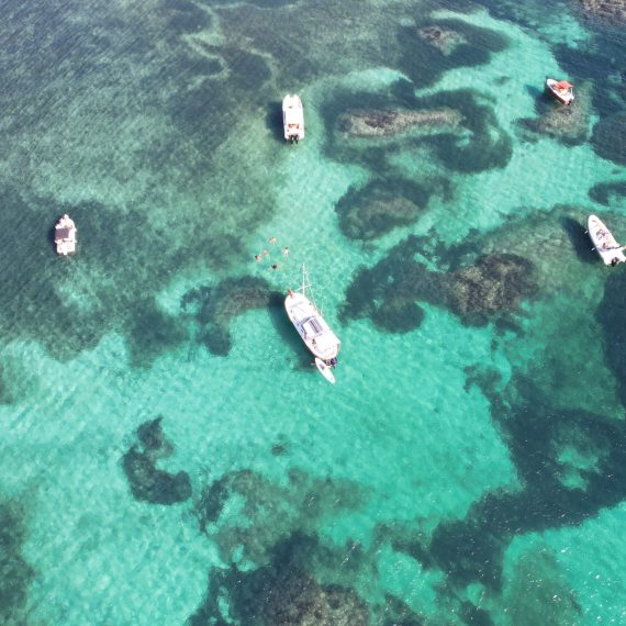 barcos mallorca